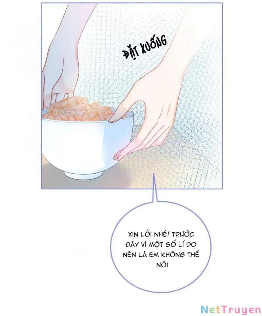 Cô Ấy Ngày Nào Cũng Lên Hot Search! Chapter 19 - 25