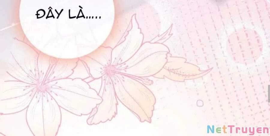 Cô Ấy Ngày Nào Cũng Lên Hot Search! Chapter 19 - 30