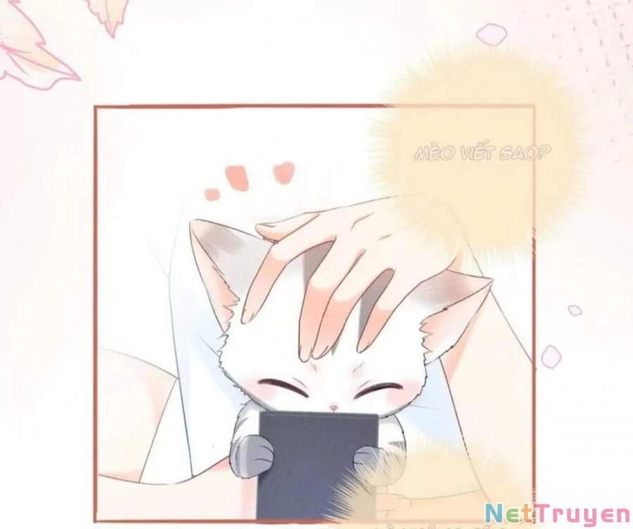 Cô Ấy Ngày Nào Cũng Lên Hot Search! Chapter 19 - 31