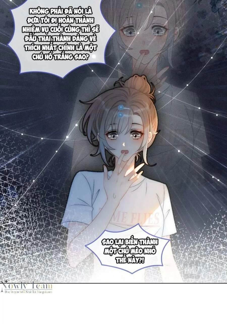 Cô Ấy Ngày Nào Cũng Lên Hot Search! Chapter 20 - 7