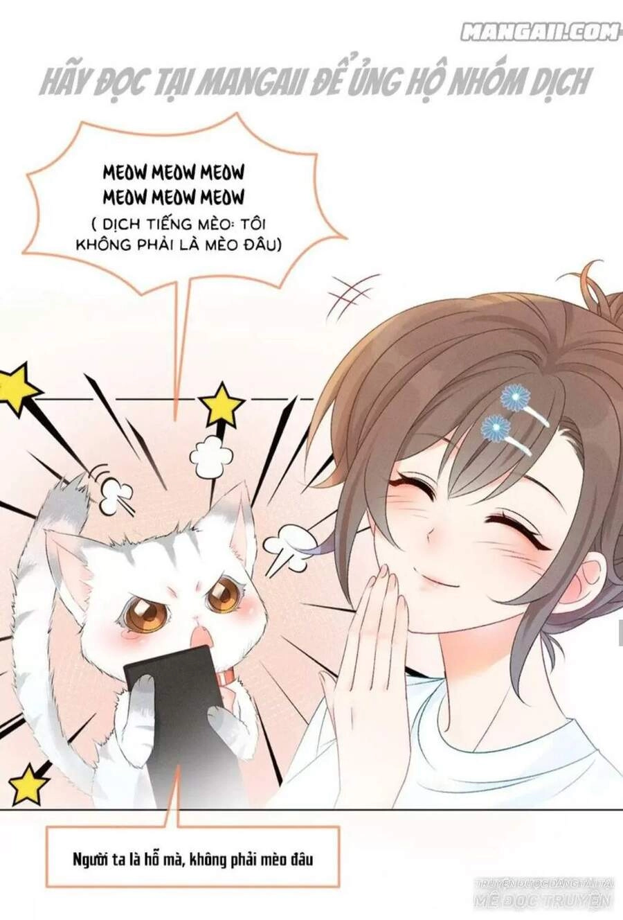 Cô Ấy Ngày Nào Cũng Lên Hot Search! Chapter 20 - 11