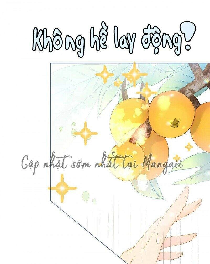 Cô Ấy Ngày Nào Cũng Lên Hot Search! Chapter 24 - 18