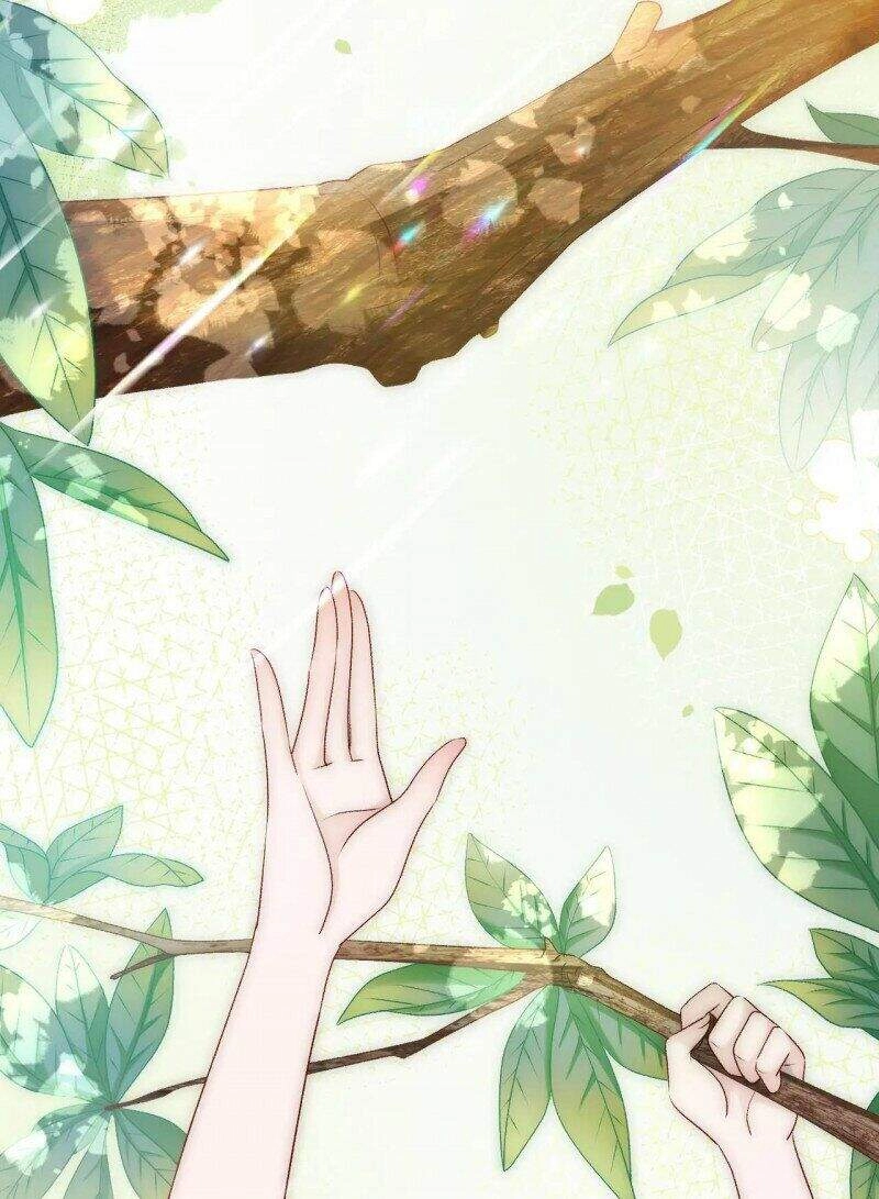 Cô Ấy Ngày Nào Cũng Lên Hot Search! Chapter 24 - 27