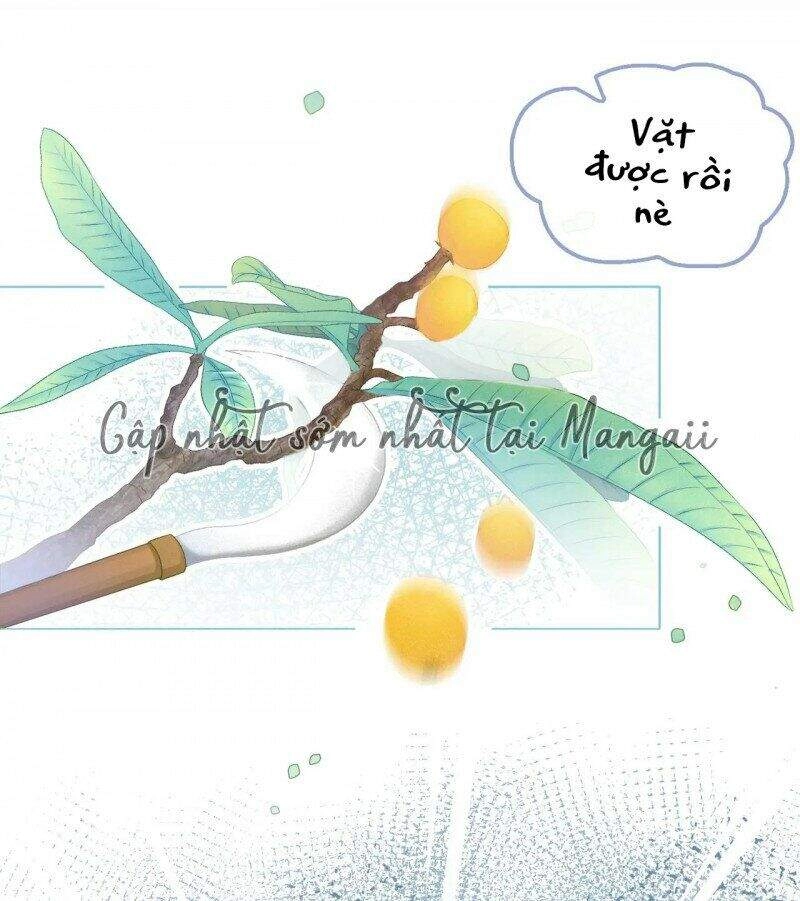 Cô Ấy Ngày Nào Cũng Lên Hot Search! Chapter 25 - 6