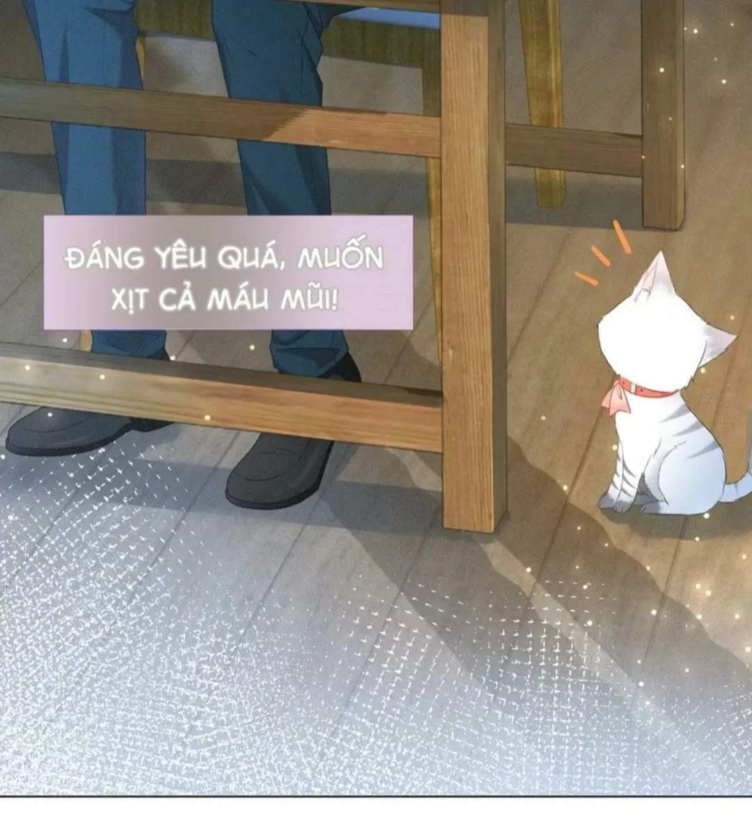 Cô Ấy Ngày Nào Cũng Lên Hot Search! Chapter 26 - 17