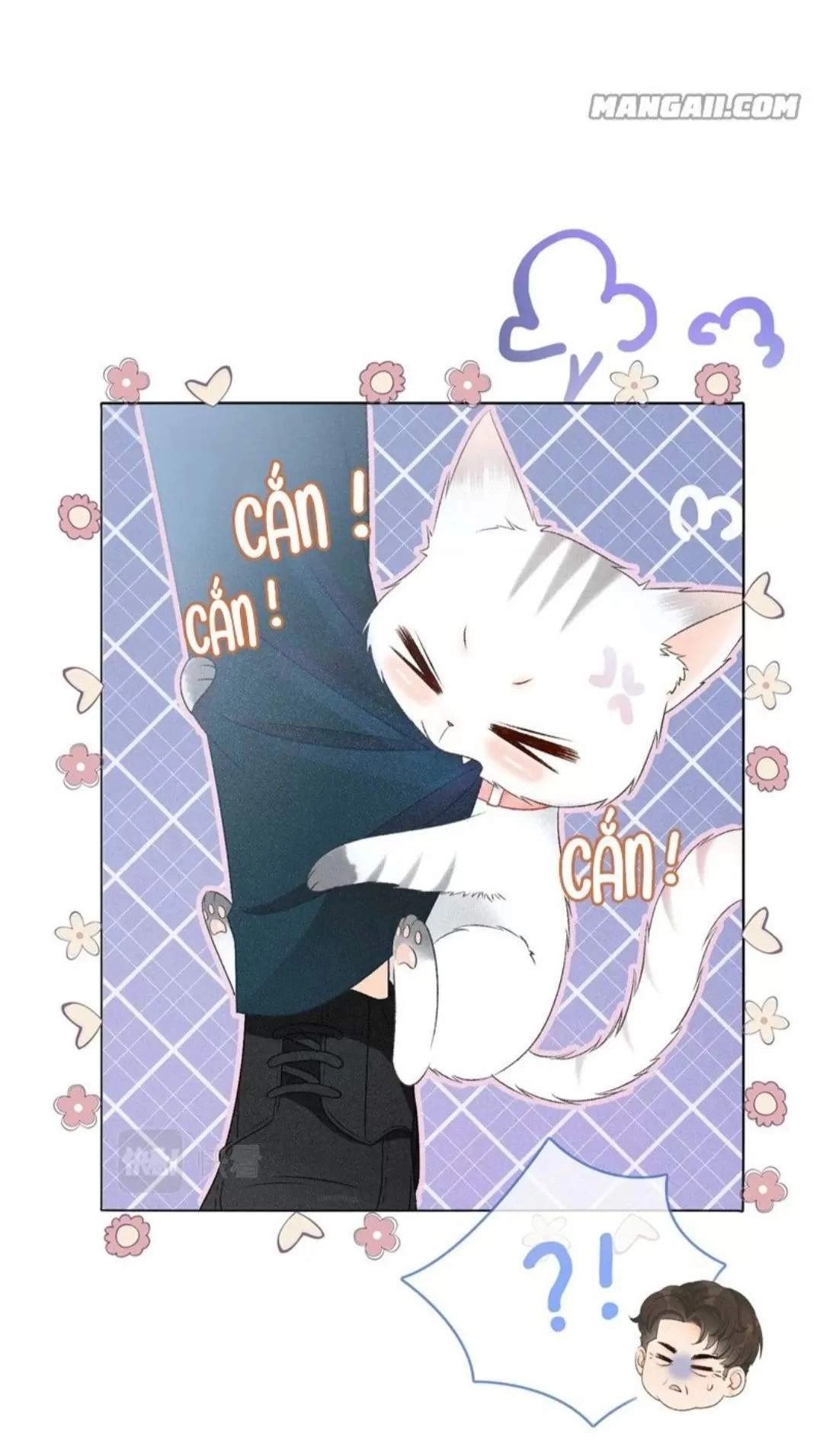 Cô Ấy Ngày Nào Cũng Lên Hot Search! Chapter 26 - 20