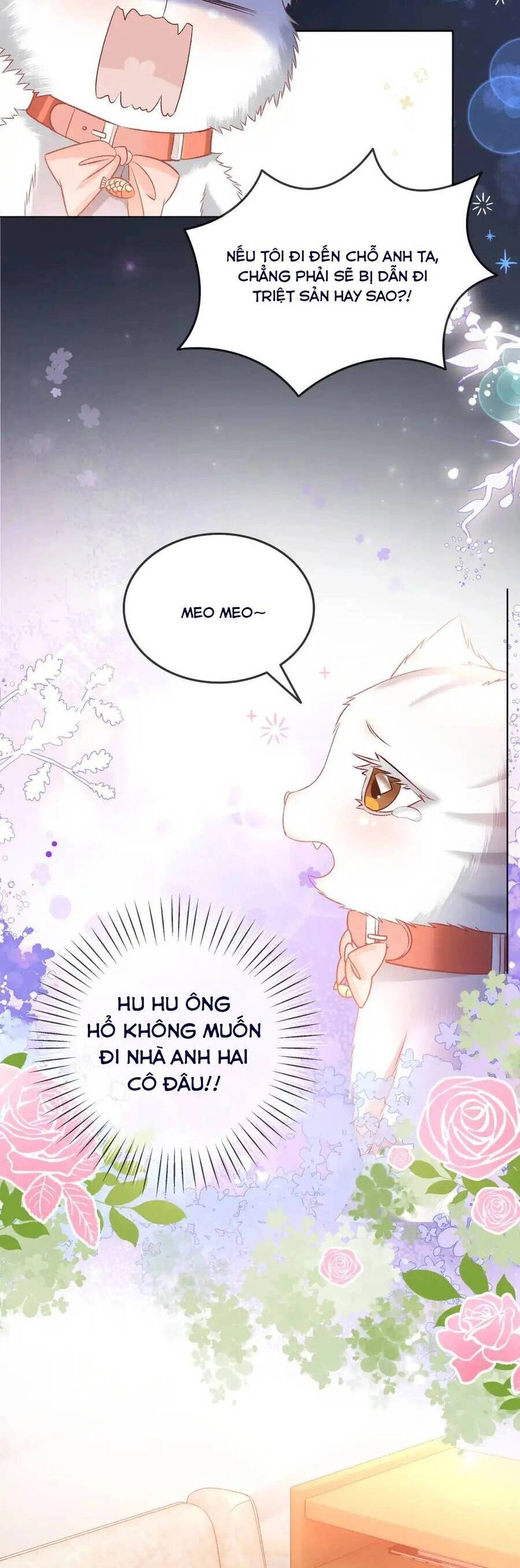 Cô Ấy Ngày Nào Cũng Lên Hot Search! Chapter 99 - 13