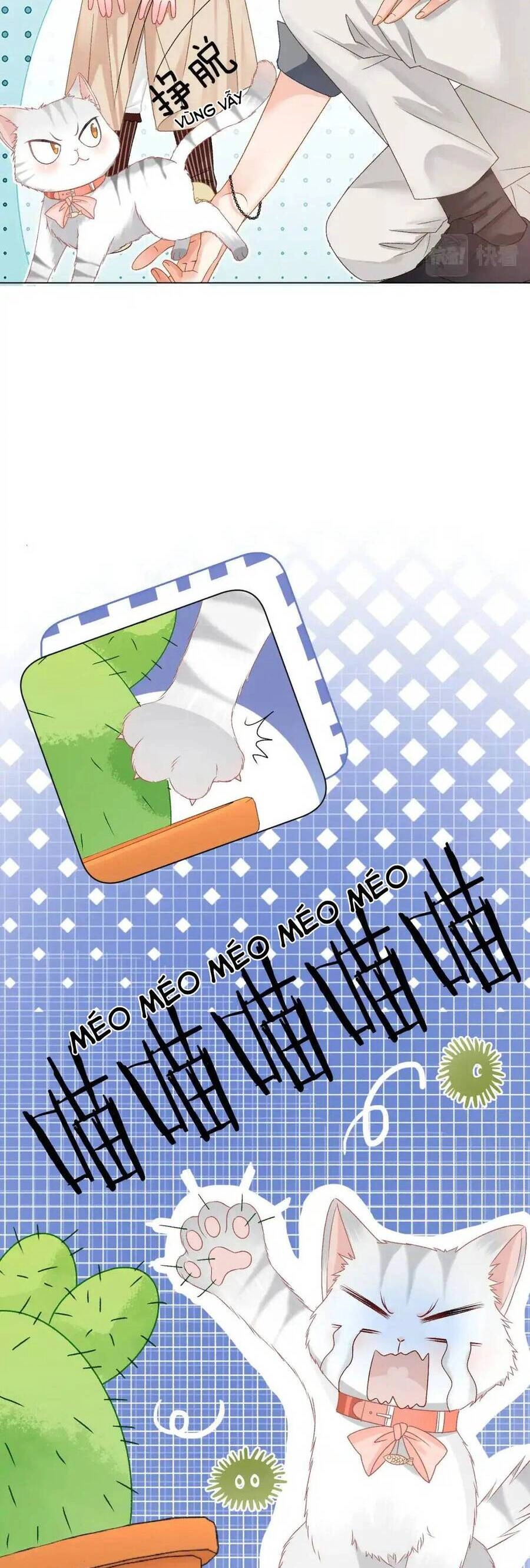 Cô Ấy Ngày Nào Cũng Lên Hot Search! Chapter 101 - 15