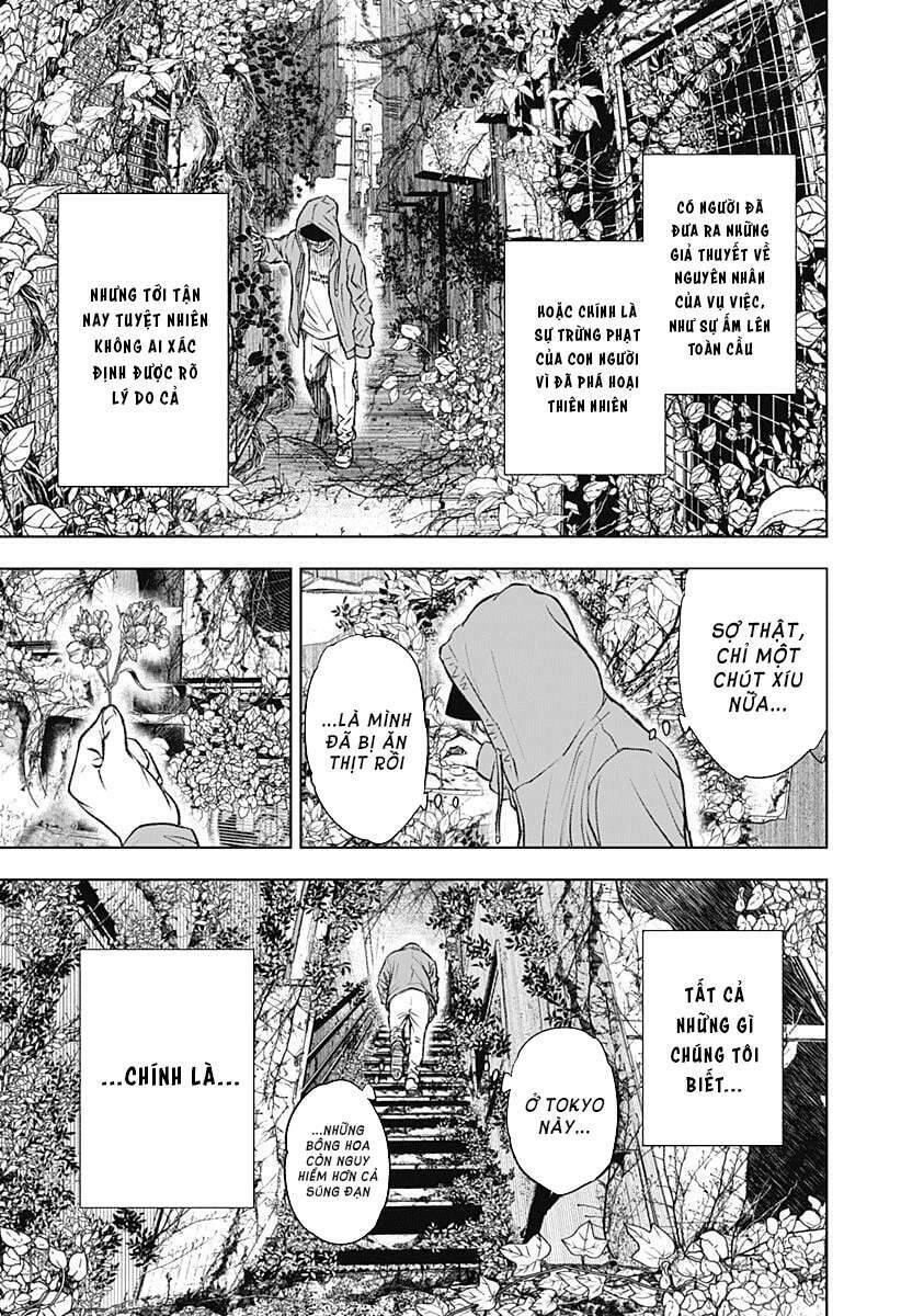 Wild Strawberry Chapter 1 - 7