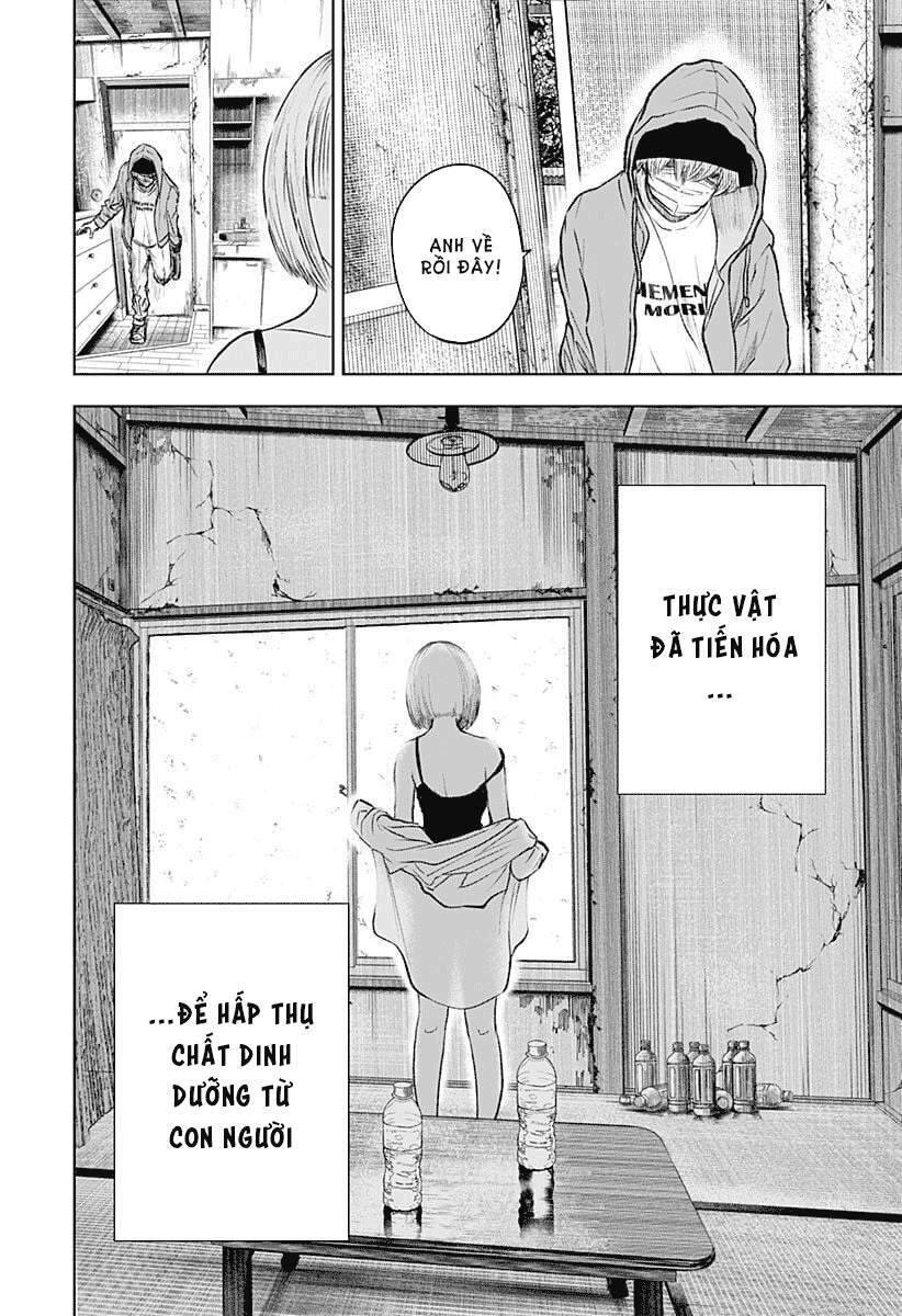 Wild Strawberry Chapter 1 - 8