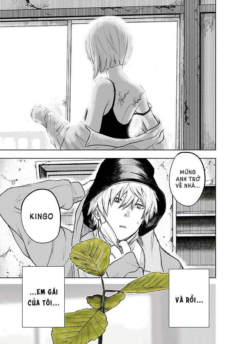 Wild Strawberry Chapter 1 - 9