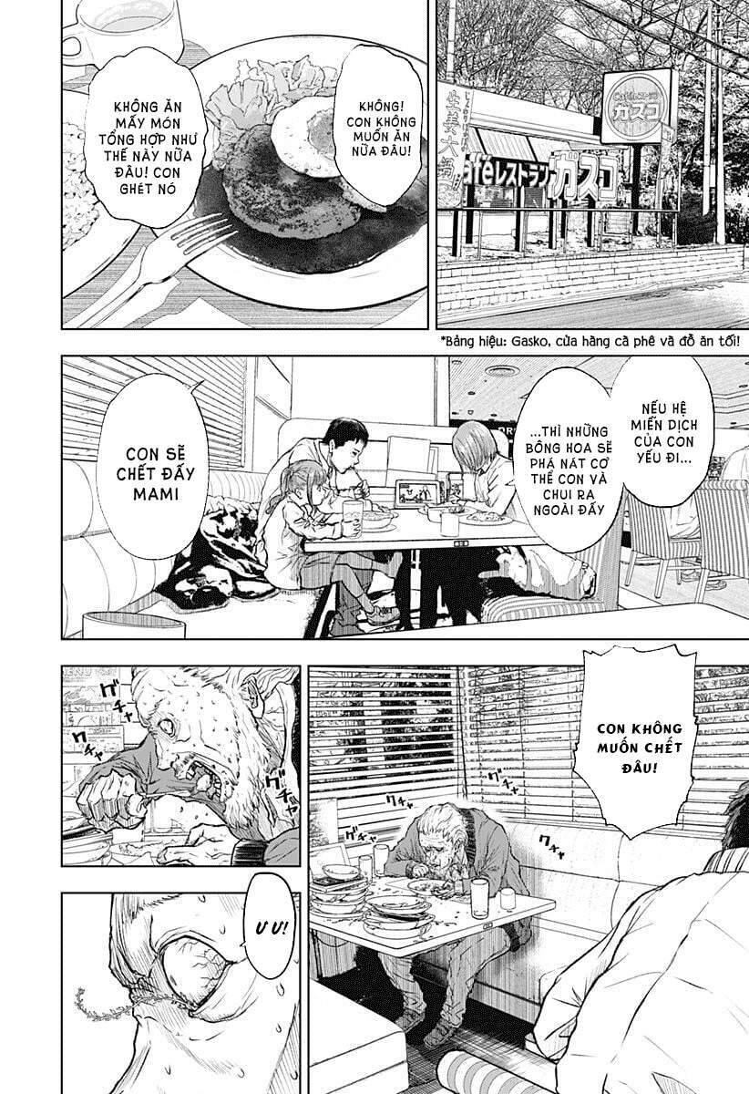 Wild Strawberry Chapter 1 - 12