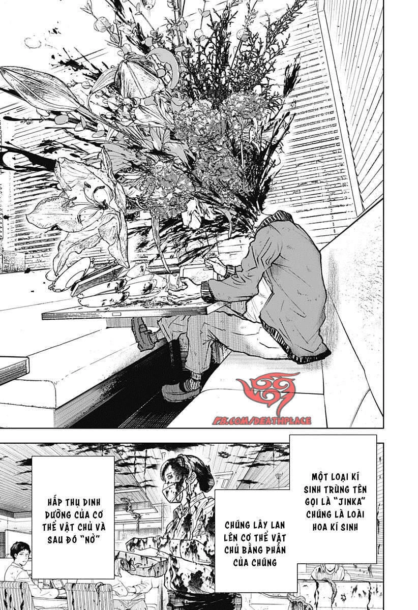 Wild Strawberry Chapter 1 - 13