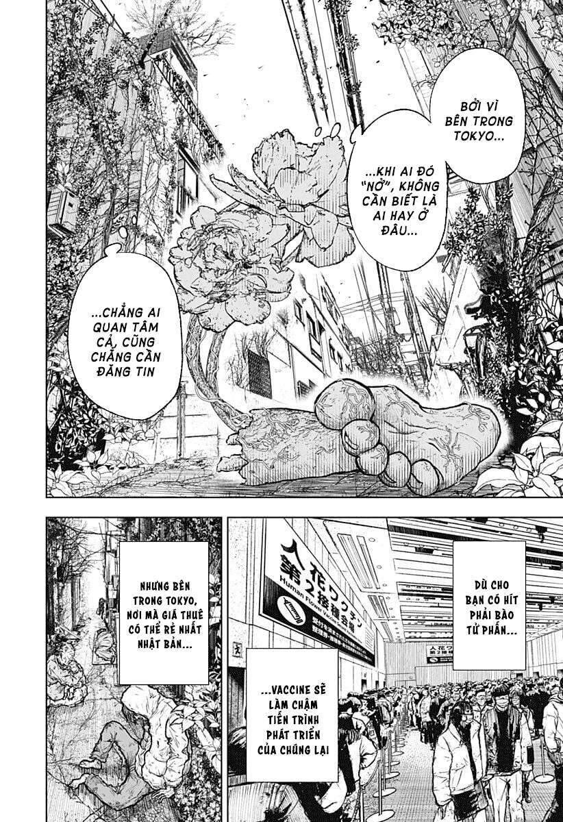 Wild Strawberry Chapter 1 - 16