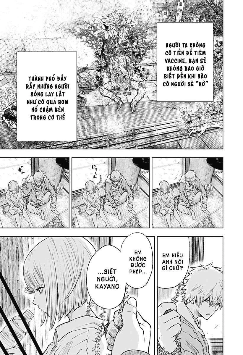 Wild Strawberry Chapter 1 - 17