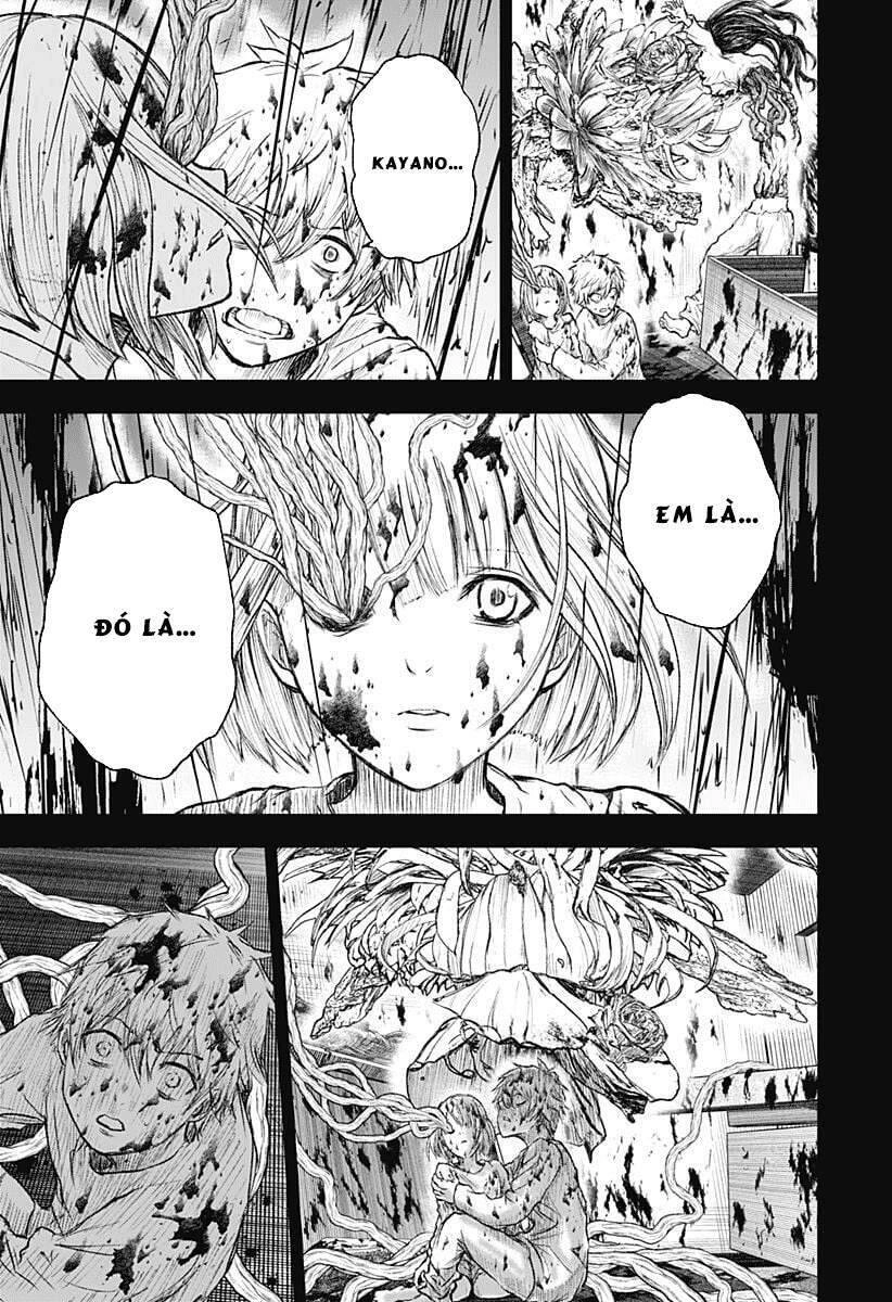 Wild Strawberry Chapter 1 - 31