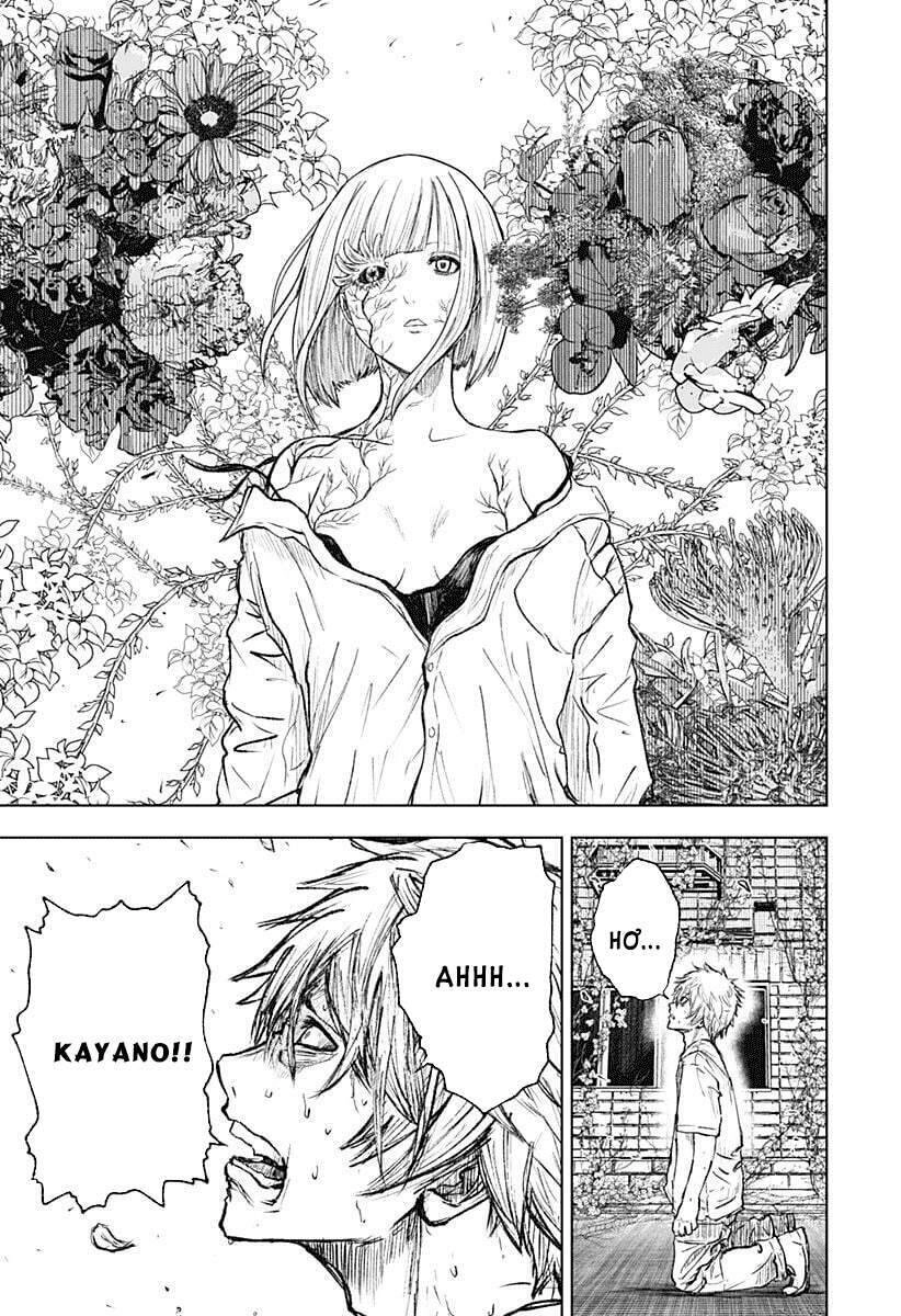 Wild Strawberry Chapter 1 - 51