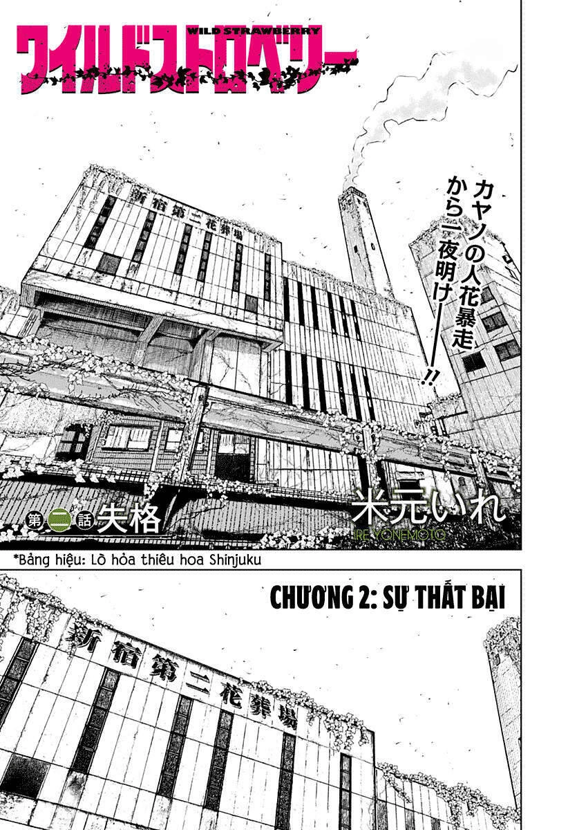 Wild Strawberry Chapter 2 - 1