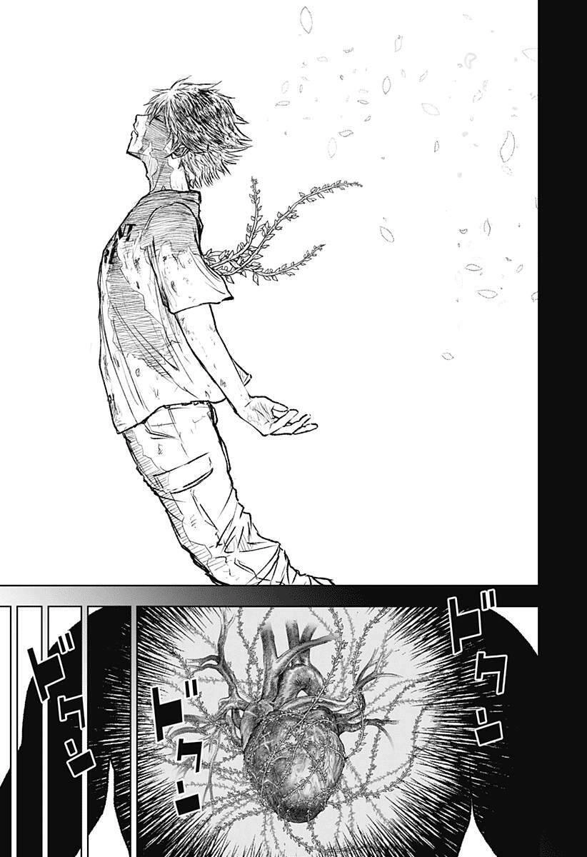 Wild Strawberry Chapter 2 - 15