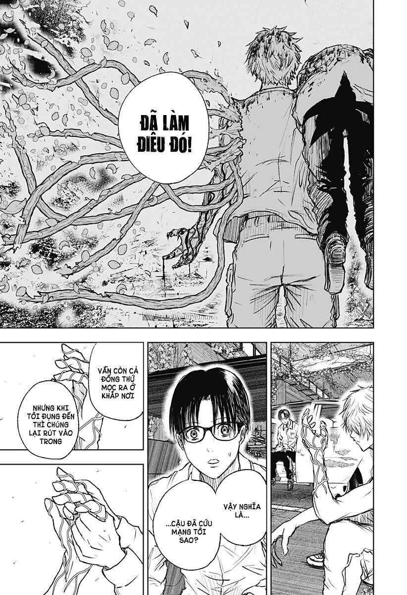 Wild Strawberry Chapter 3 - 5