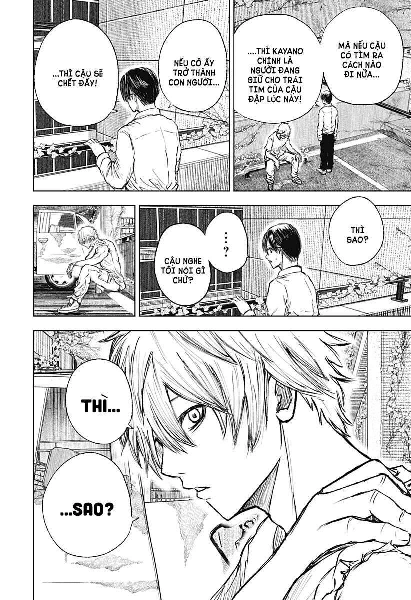 Wild Strawberry Chapter 3 - 12