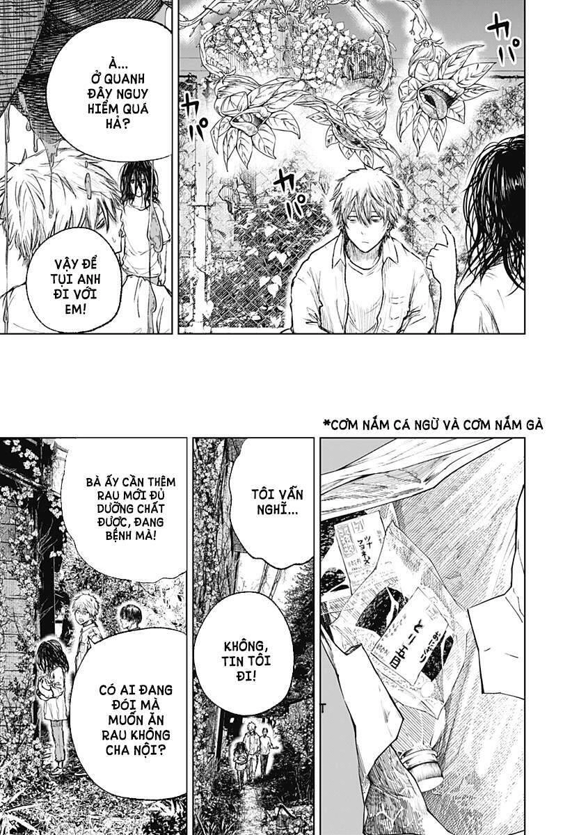 Wild Strawberry Chapter 3 - 21