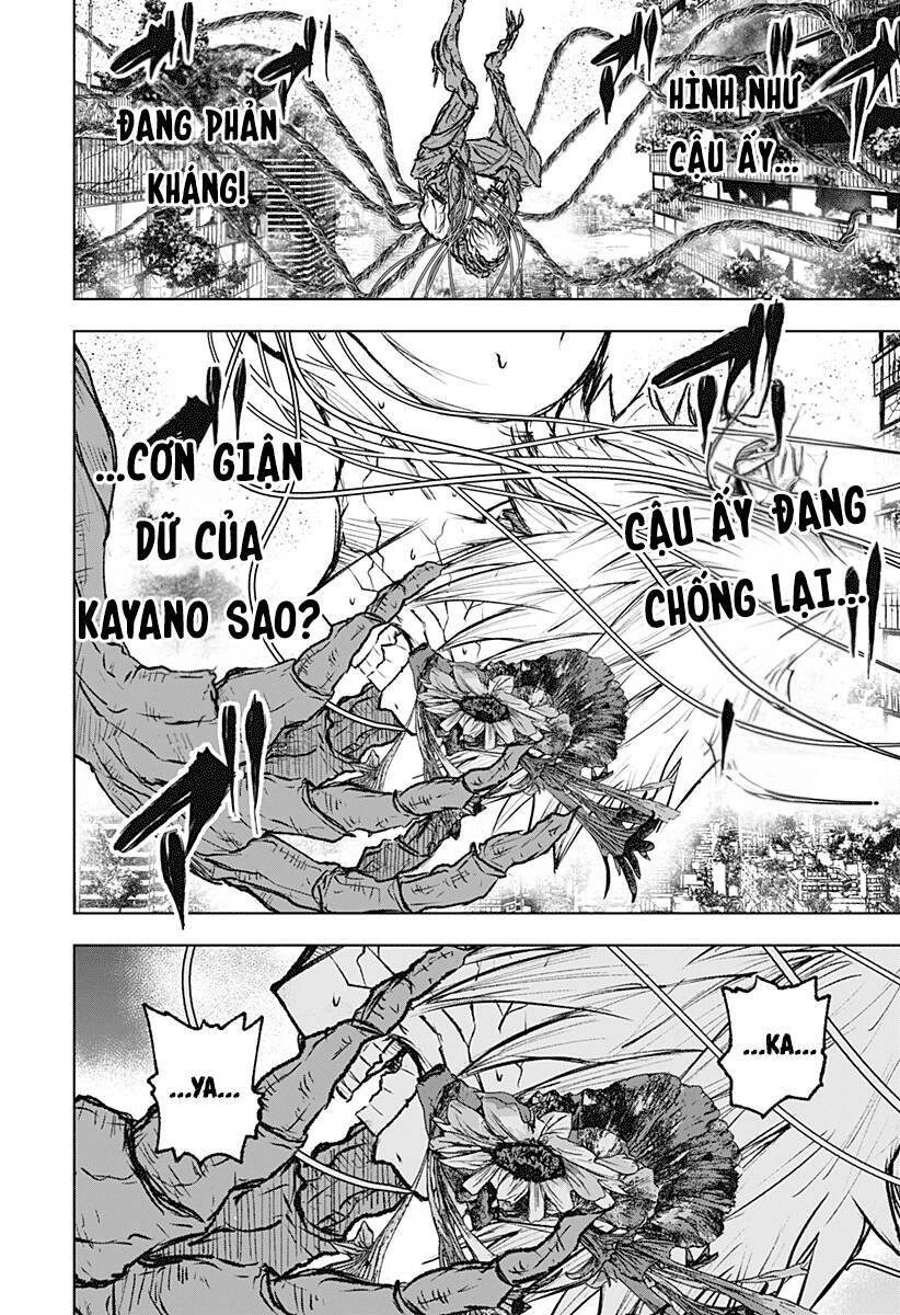 Wild Strawberry Chapter 5 - 15