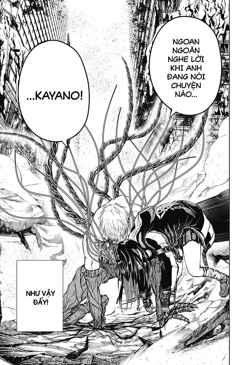 Wild Strawberry Chapter 5 - 22