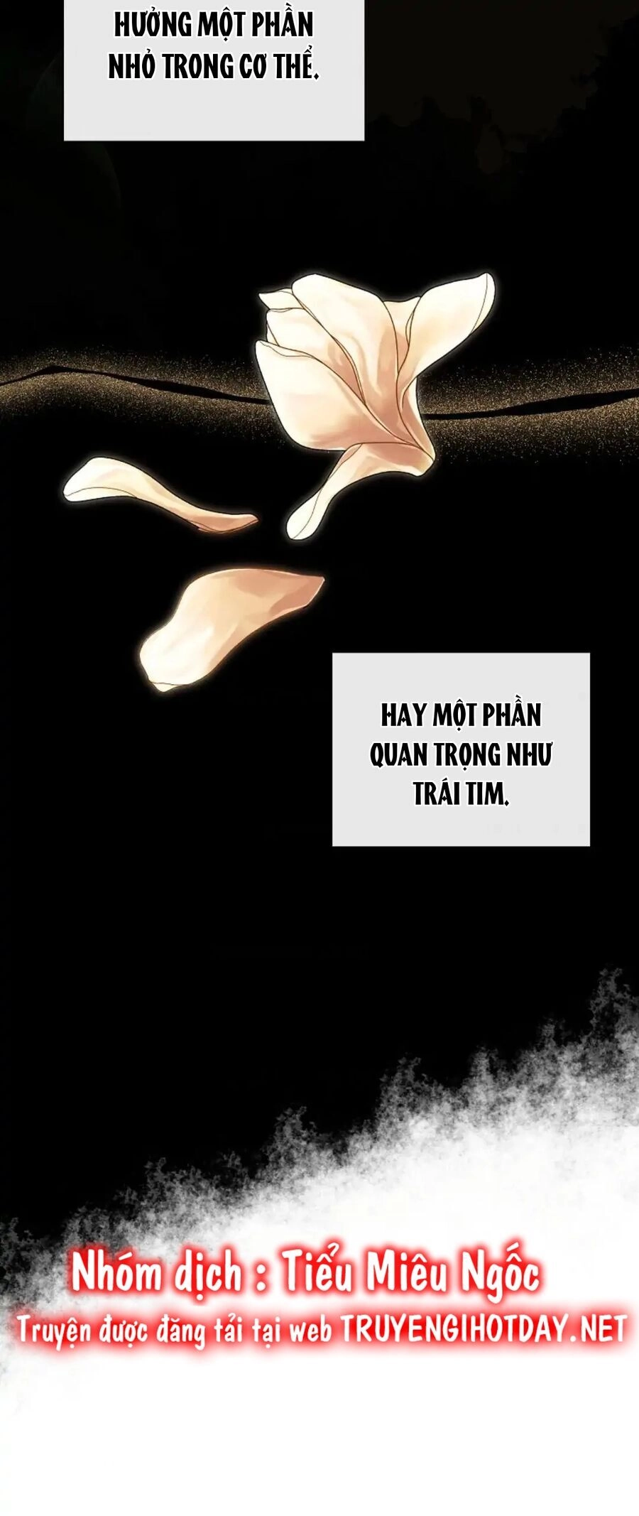 Tôi Chọc Nhầm Nam Phụ Che Giấu Thân Phận Chapter 36 - 56