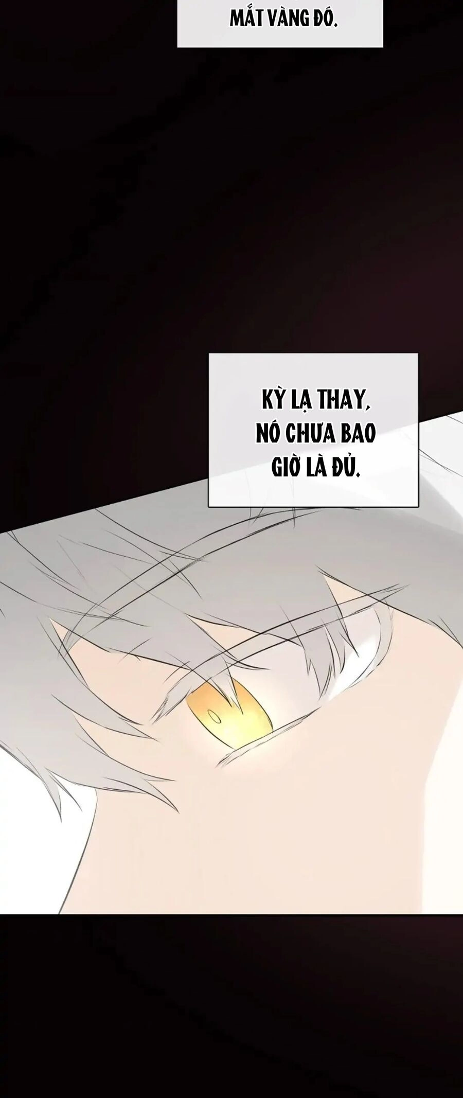 Tôi Chọc Nhầm Nam Phụ Che Giấu Thân Phận Chapter 36 - 62