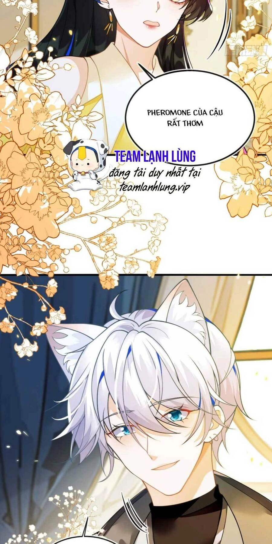 Vừa Mới Huỷ Hôn Đã Bị Dã Hồ Ly Lừa Kết Hôn Chapter 3 - 7