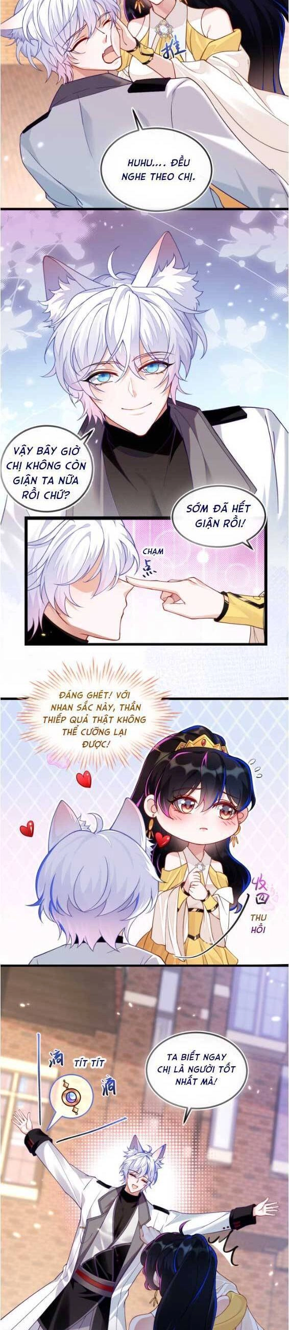 Vừa Mới Huỷ Hôn Đã Bị Dã Hồ Ly Lừa Kết Hôn Chapter 10 - 6