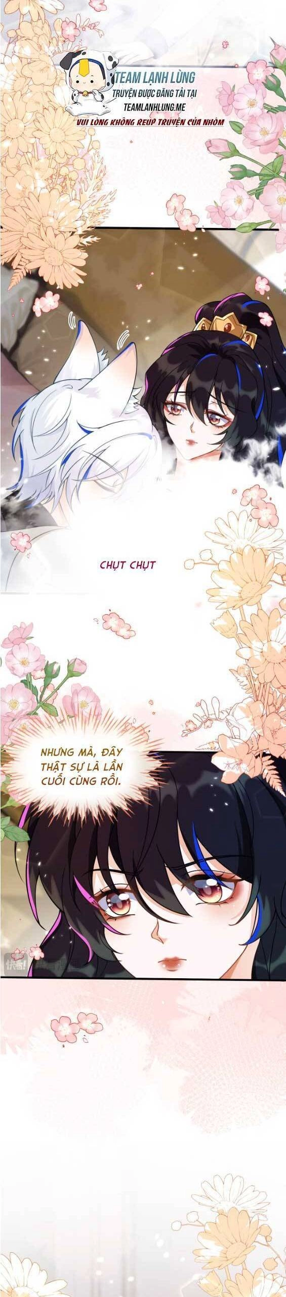 Vừa Mới Huỷ Hôn Đã Bị Dã Hồ Ly Lừa Kết Hôn Chapter 11 - 6