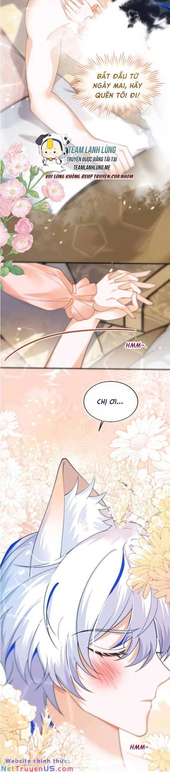 Vừa Mới Huỷ Hôn Đã Bị Dã Hồ Ly Lừa Kết Hôn Chapter 11 - 9