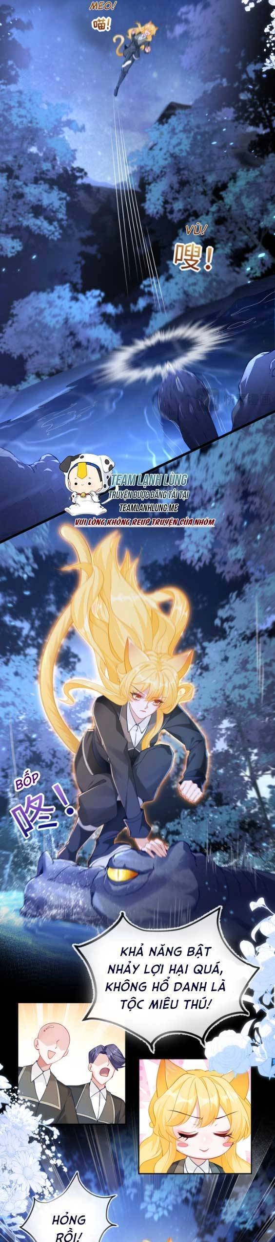 Vừa Mới Huỷ Hôn Đã Bị Dã Hồ Ly Lừa Kết Hôn Chapter 15 - 9