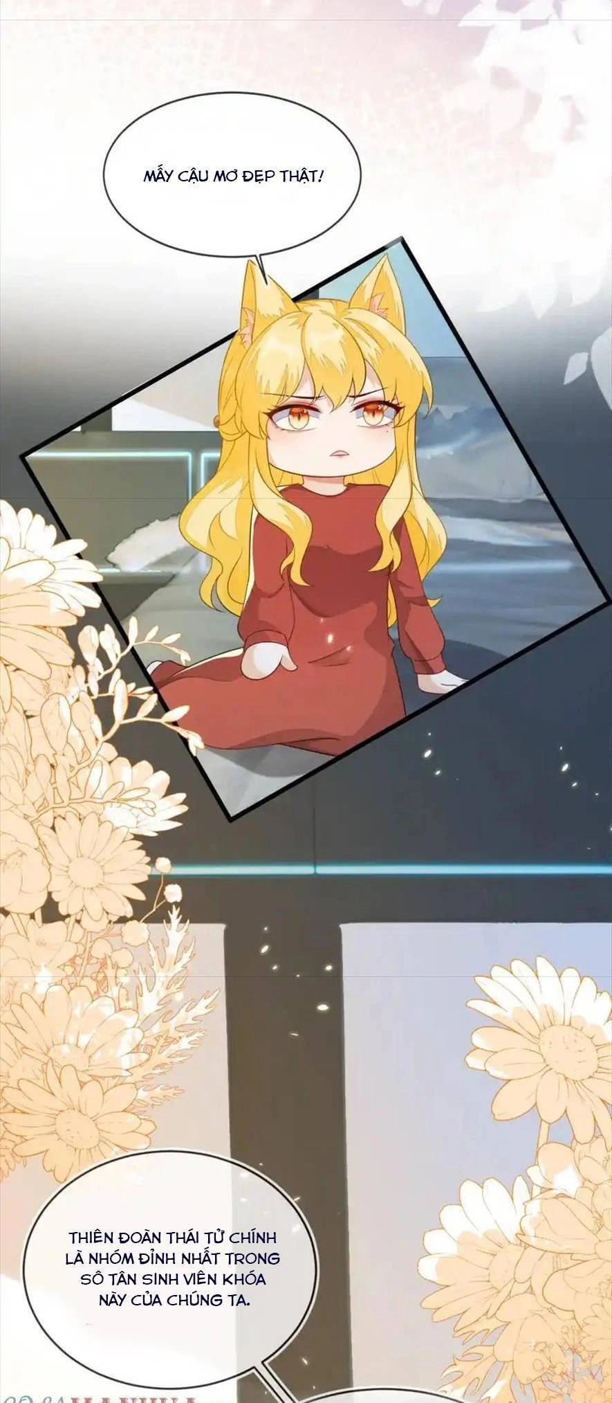 Vừa Mới Huỷ Hôn Đã Bị Dã Hồ Ly Lừa Kết Hôn Chapter 23 - 9