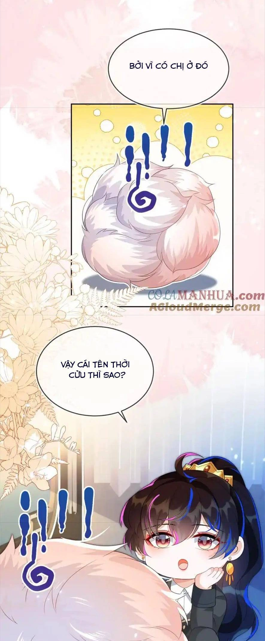 Vừa Mới Huỷ Hôn Đã Bị Dã Hồ Ly Lừa Kết Hôn Chapter 25 - 25