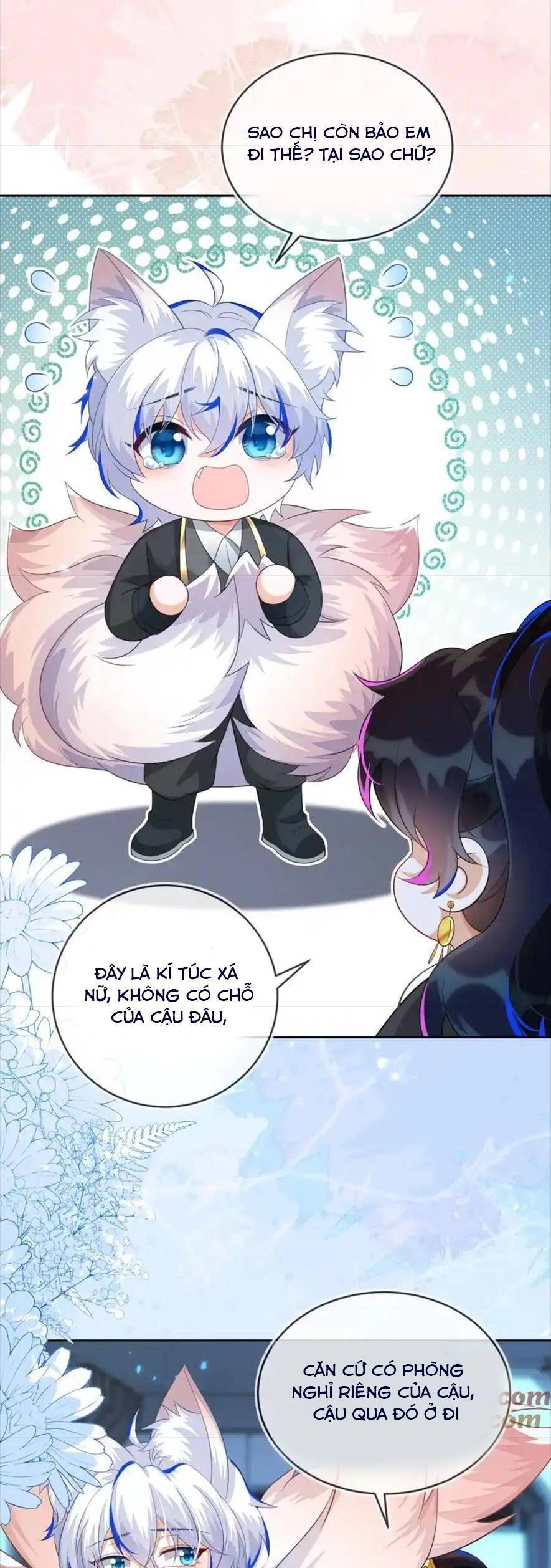 Vừa Mới Huỷ Hôn Đã Bị Dã Hồ Ly Lừa Kết Hôn Chapter 25 - 27