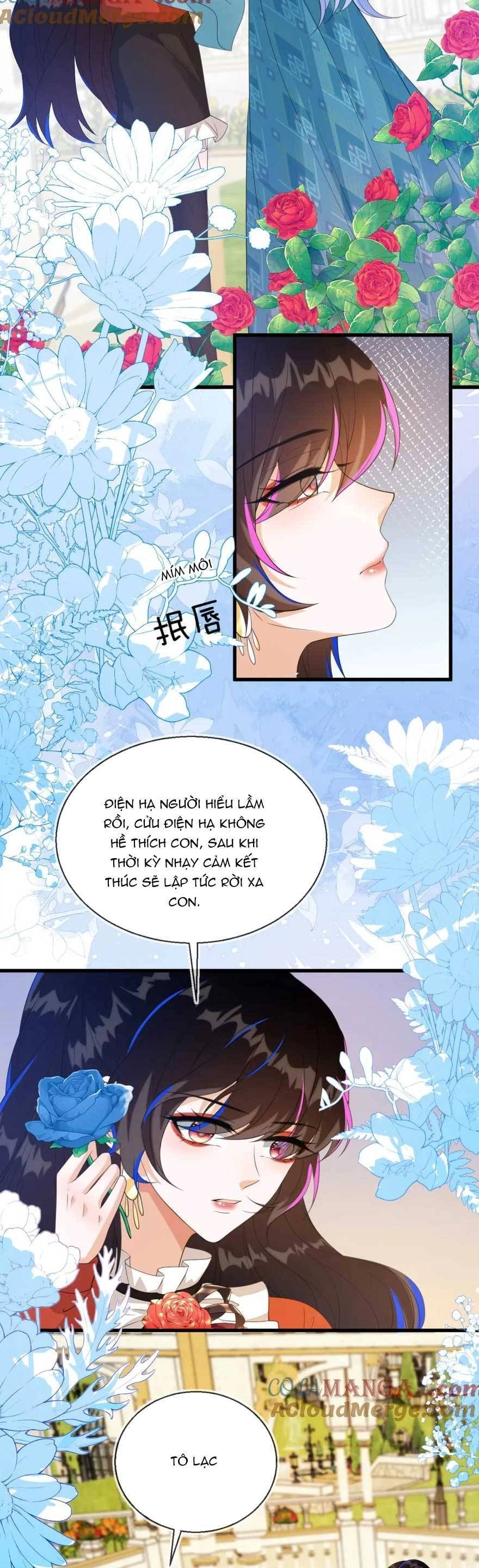 Vừa Mới Huỷ Hôn Đã Bị Dã Hồ Ly Lừa Kết Hôn Chapter 29 - 15