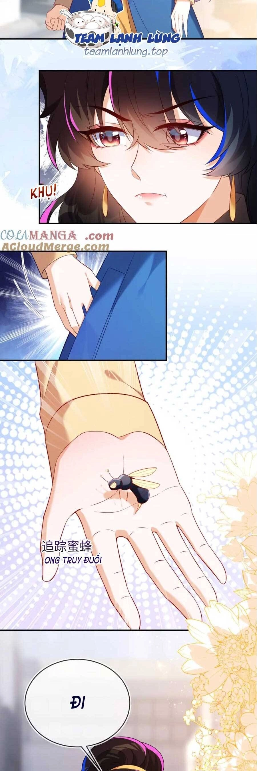 Vừa Mới Huỷ Hôn Đã Bị Dã Hồ Ly Lừa Kết Hôn Chapter 40 - 10