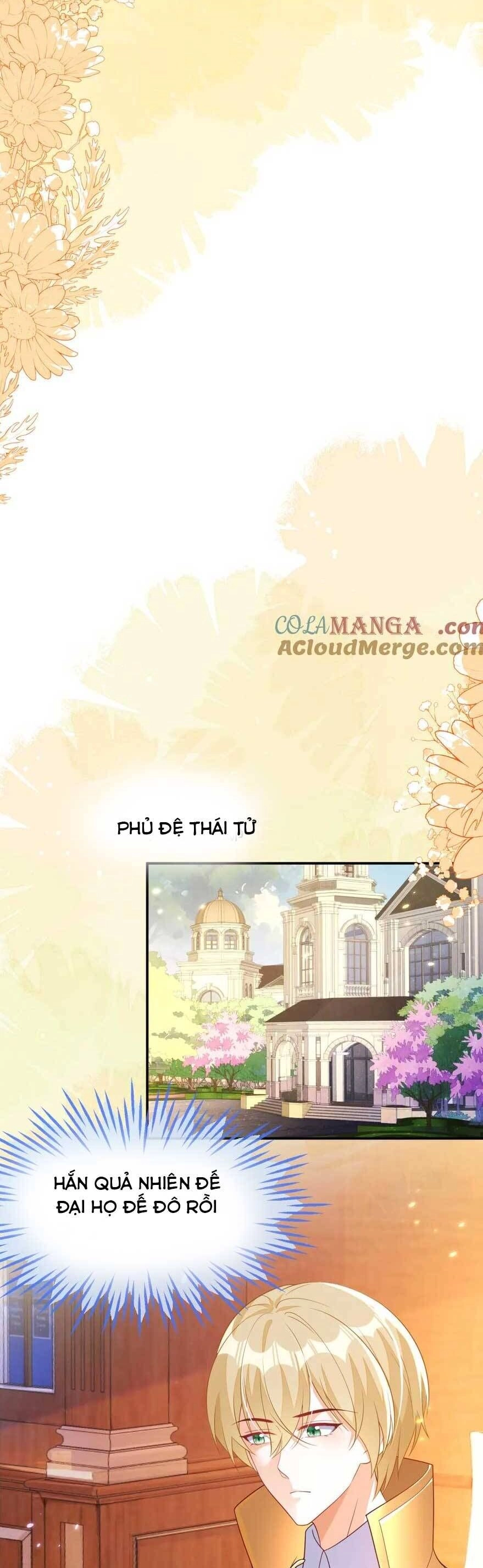 Vừa Mới Huỷ Hôn Đã Bị Dã Hồ Ly Lừa Kết Hôn Chapter 45 - 12