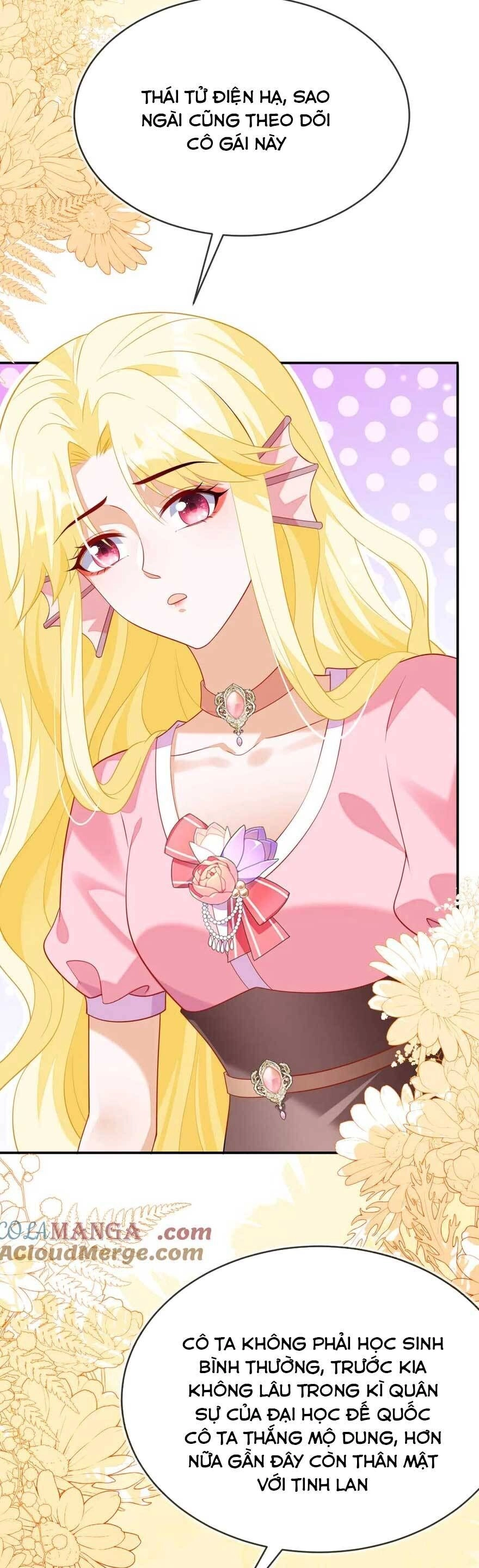 Vừa Mới Huỷ Hôn Đã Bị Dã Hồ Ly Lừa Kết Hôn Chapter 45 - 17