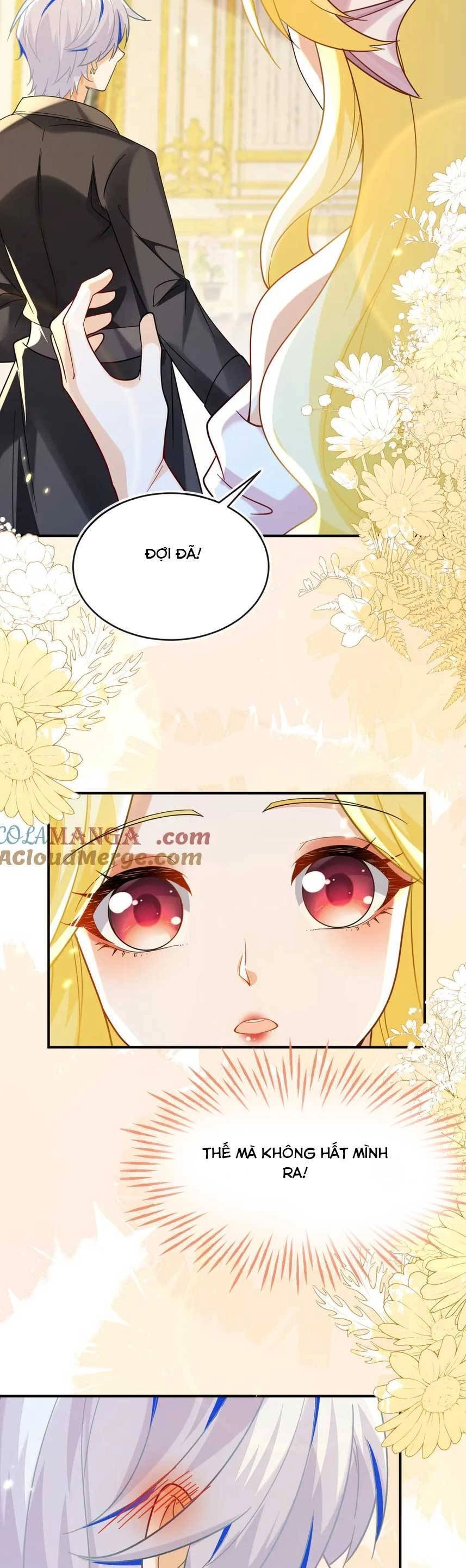 Vừa Mới Huỷ Hôn Đã Bị Dã Hồ Ly Lừa Kết Hôn Chapter 49 - 14