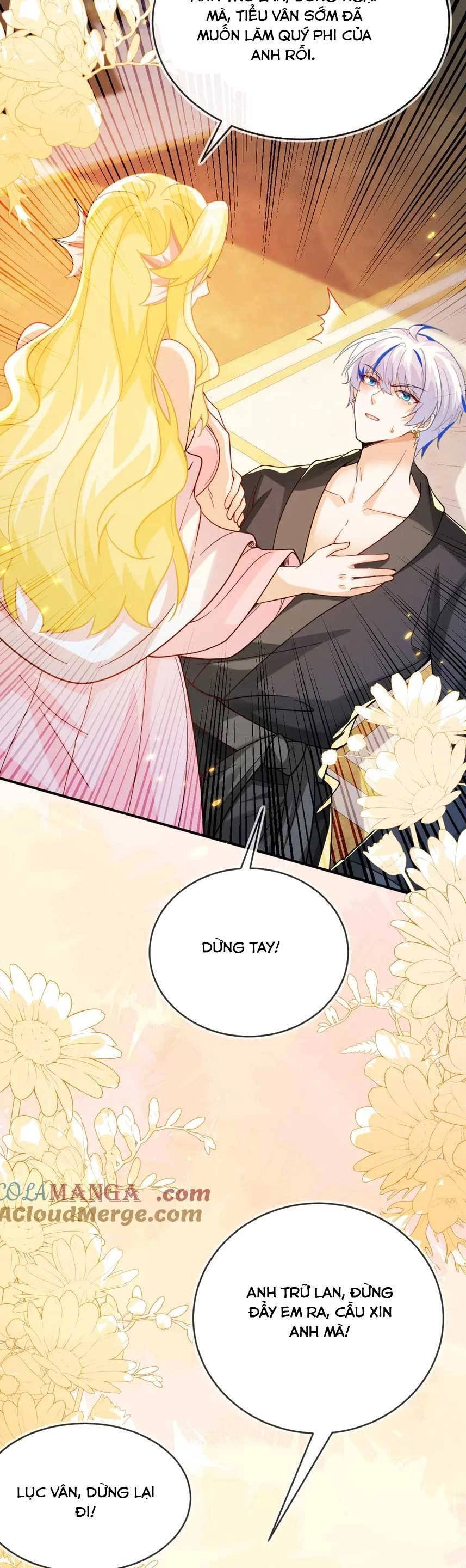 Vừa Mới Huỷ Hôn Đã Bị Dã Hồ Ly Lừa Kết Hôn Chapter 49 - 17