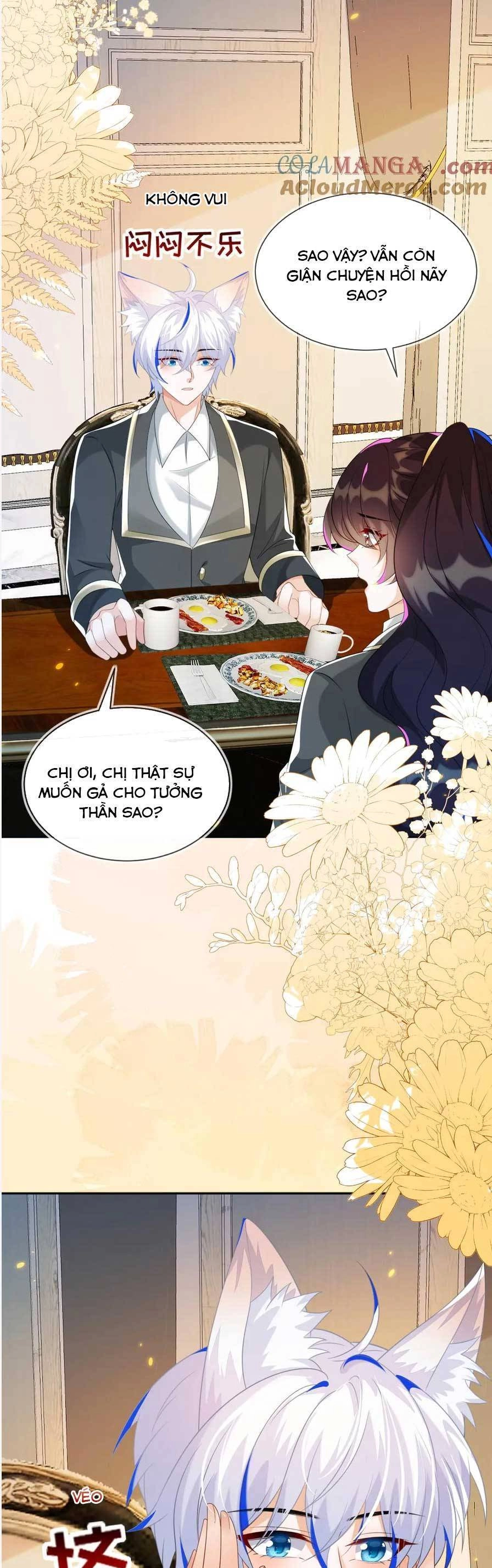 Vừa Mới Huỷ Hôn Đã Bị Dã Hồ Ly Lừa Kết Hôn Chapter 51 - 10