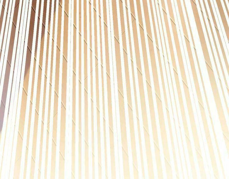 Thực Luyến Kỳ Duyên Chapter 13 - 136