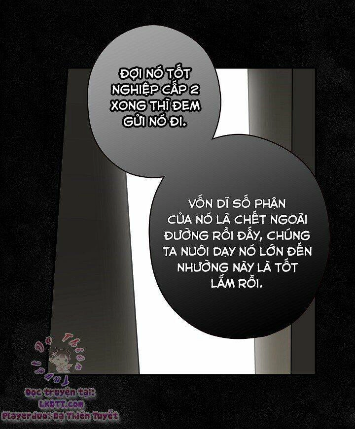 Bí Mật Của Quý Cô Chapter 1 - 55