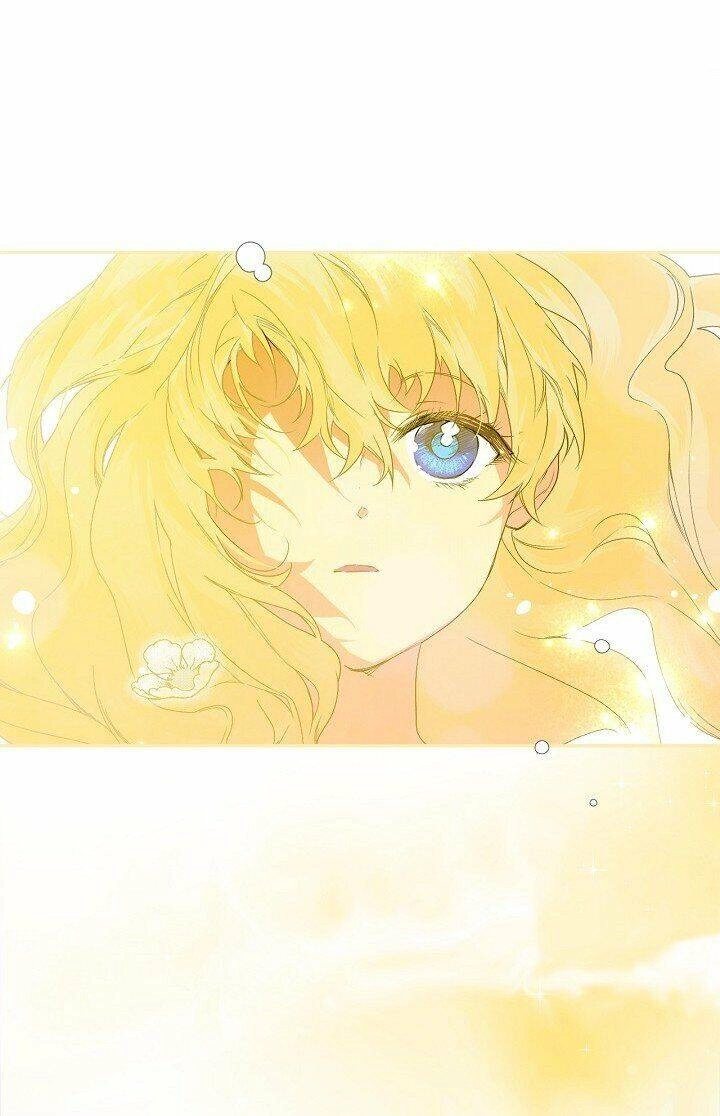 Bí Mật Của Quý Cô Chapter 1 - 78