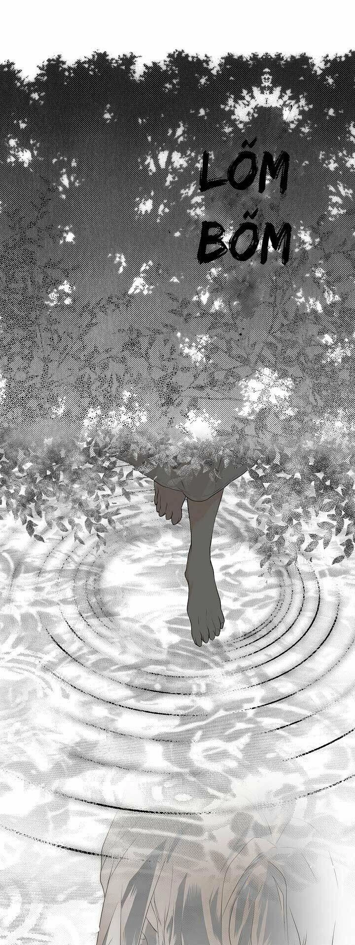 Bí Mật Của Quý Cô Chapter 5 - 5