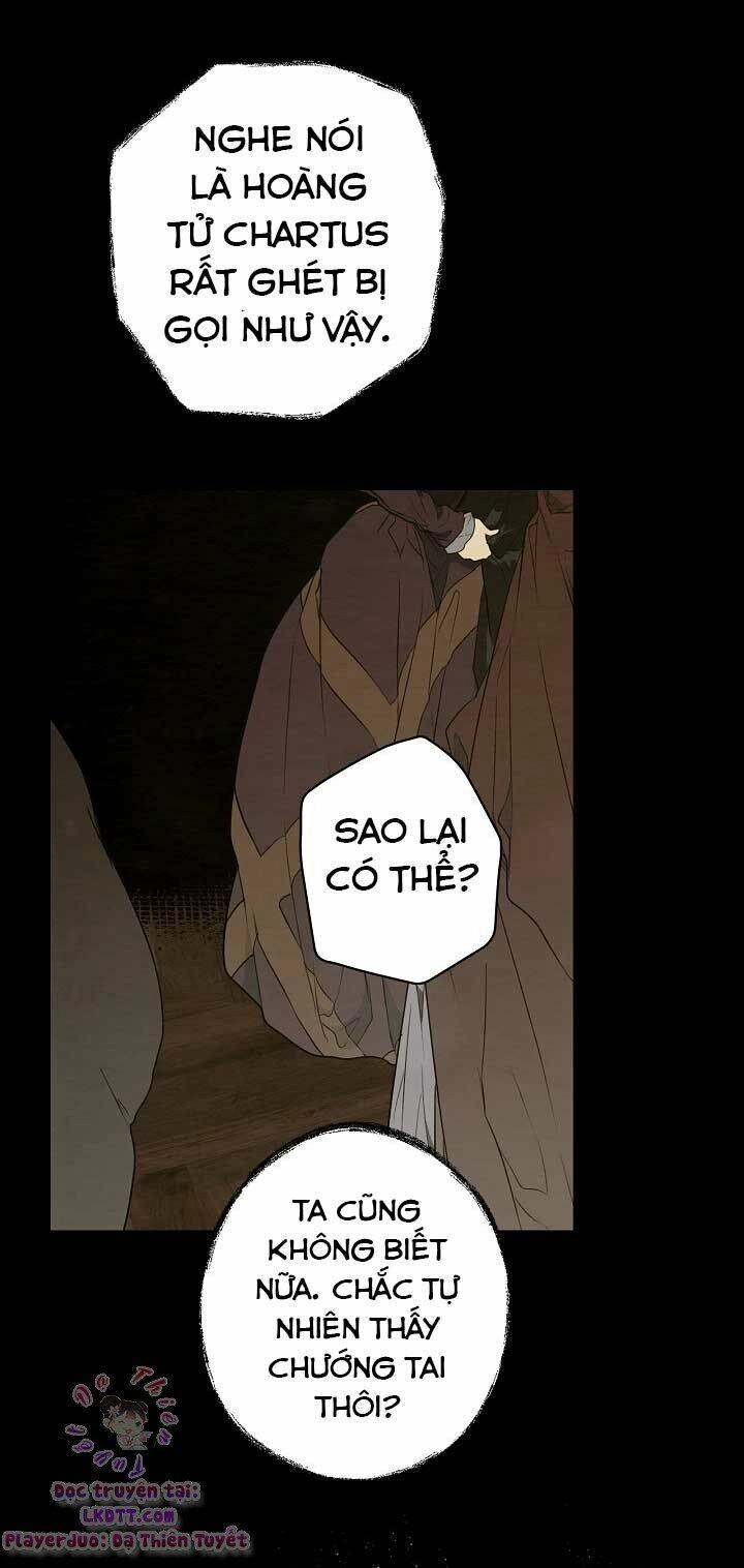 Bí Mật Của Quý Cô Chapter 5 - 75